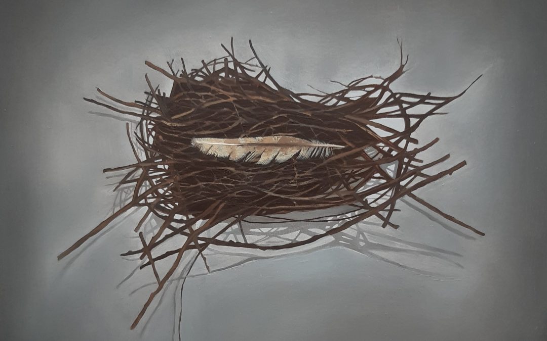Frances Law, Collared Dove's Nest with Feather, Oil on Canvas, 70 cm x 70 cm (unframed)